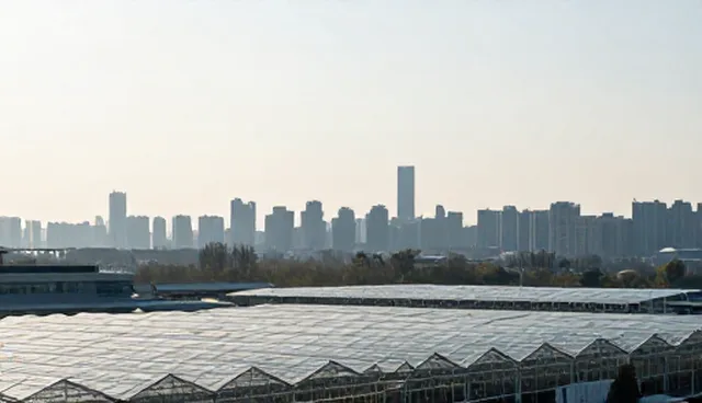 做个网页：企业入驻支持中的选型关注点解析