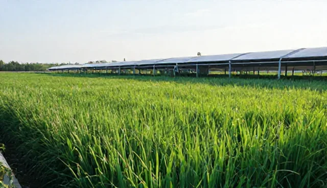 定制化网站建设公司如何助力企业服务升级