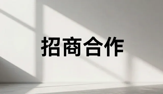 高端网站建设价钱，企业如何选择适合自己的方案