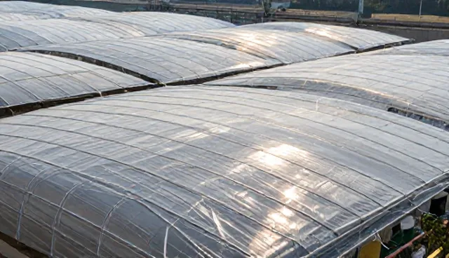 医药网站建设,企业名录展示套餐如何精准触达目标客户